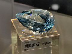 -中国地质博物馆