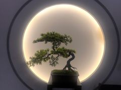 -席仁堂推拿按摩脊柱调理(世纪科贸大厦店)