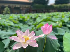 -宝墨园景区