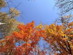 -长春市南湖公园