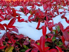 -江南大学(蠡湖校区)