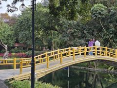-晓港公园