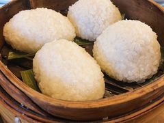茨毛圆子-双塔老饭店