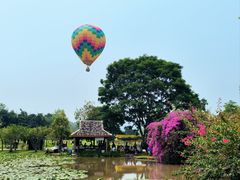 -中国科学院西双版纳热带植物园