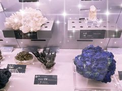 -中国地质博物馆