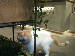 -ZM COFFEE(西安路店)