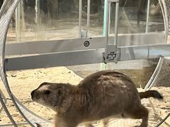 -绿色星球动物主题公园