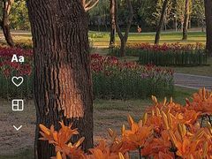 -无锡梅园公园
