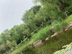 景观位-日出青木·杭帮菜名店