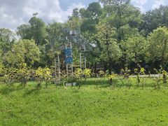 -东莞植物园