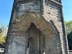 -上海佘山国家森林公园天马山园