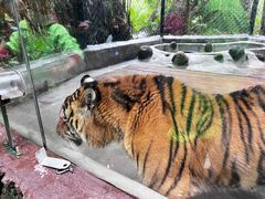 -海南热带野生动植物园