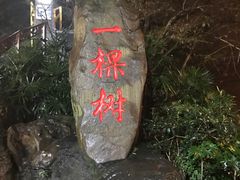 -南山老地方泉水鸡(南山店)