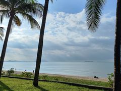 -小海豚•老字号海鲜餐厅(天涯店)