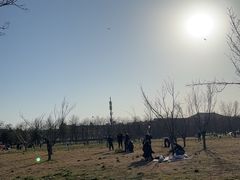 -大明宫国家遗址公园·御道广场