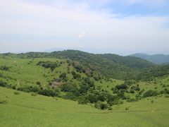 -大姆山草场