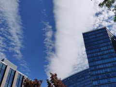 -外滩8号 whisky bar(金延大厦店)