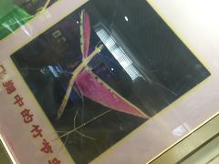 -上海昆虫博物馆