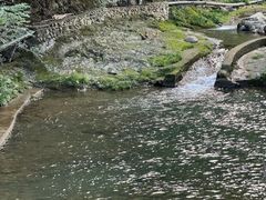 -藏龙百瀑风景区