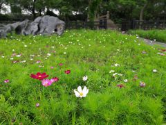 -韩湘水博园