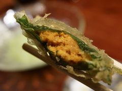 -是山居