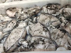 -浦商菜市场·锦德店