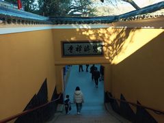 -普陀山慧济禅寺