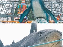 -海合安武汉极地海洋公园
