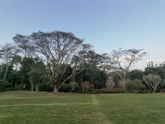 -中国科学院西双版纳热带植物园