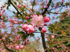 -白塘生态植物园