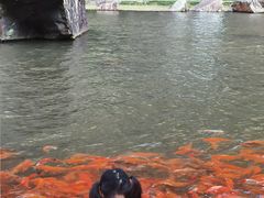 -刘伯温故里景区百丈漈