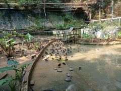 -柳州市动物园