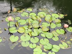 -苏州河梦清园环保主题公园