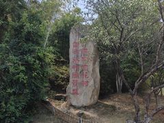 -杏花村文化旅游区
