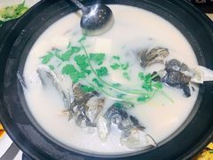 白汤有机鱼头-千岛湖小鱼儿·淳安匠心农家菜