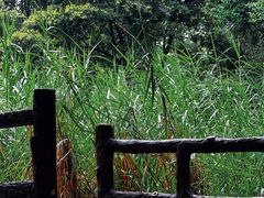 -成都市活水公园