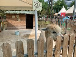 -萌宠亲子动物乐园(槐房万达店)