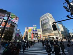 -涩谷全向十字路口