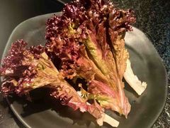 -一善菌·云南菌汤·云南菜(银泰城店)