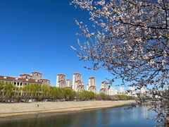 -桃花堤公园