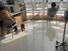 -邢大夫动物医院