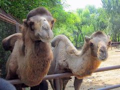 -大连森林动物园