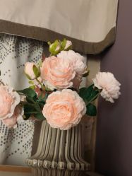 -香秀空间科技抗衰·美容中心