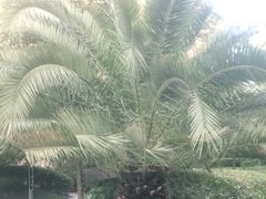 -上置·绿洲雅宾利花园