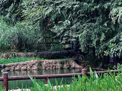 -成都市活水公园