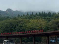 -三块石国家森林公园