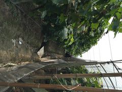 iphone_upload_pic-马陆小张葡萄园农家乐