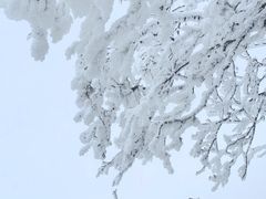 -老君山