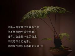 -曼朗心理咨询·旗舰店