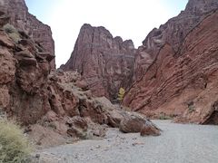 -天山神秘大峡谷